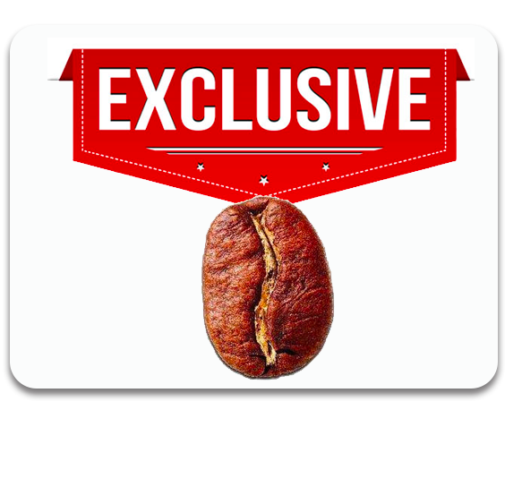 Exclusive